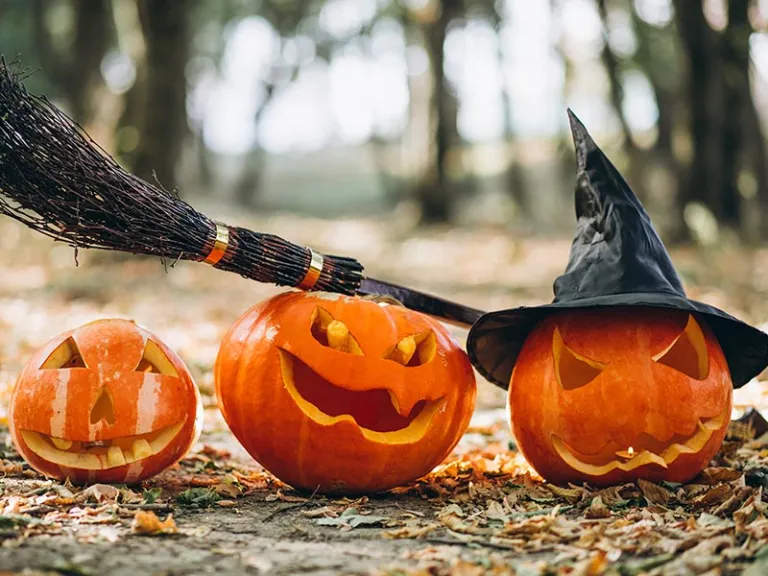 Tips for hosting a virtual Halloween party 12 imageone