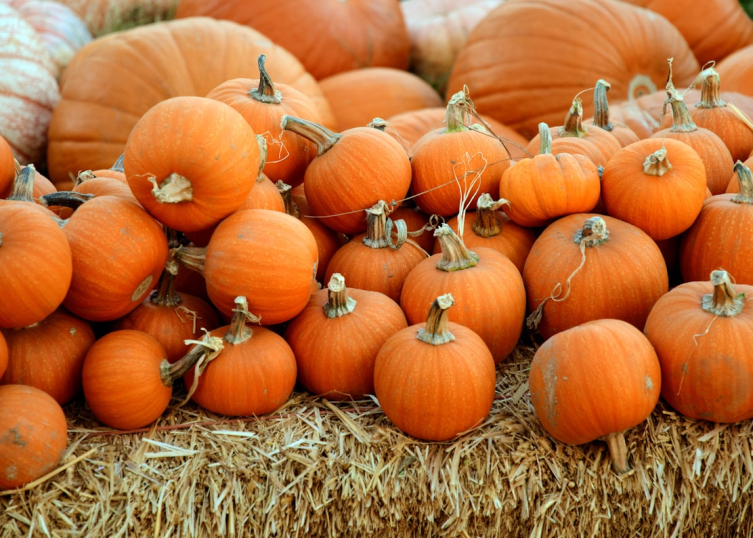 Easy Halloween recipes and crafts 4 photo 1508298593117 02b95f83abca