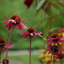 Идеи праздничных открыток, чтобы порадовать друзей и близких