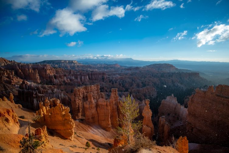 photo 1543282983 fb78c031ac29