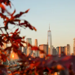 Лучшие места для путешествий в США на День благодарения