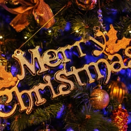 How to Create the Perfect DIY Christmas Card