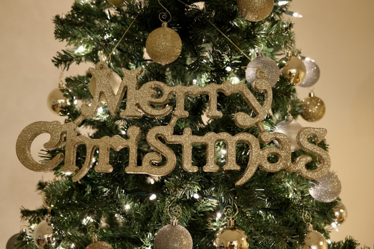 photo 1668662906216 e25f4af937f5