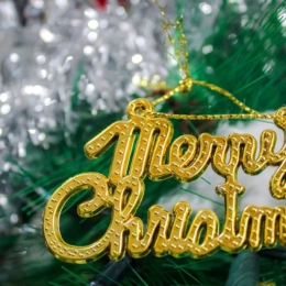 Кращі ідеї різдвяних привітань для друзів і родини