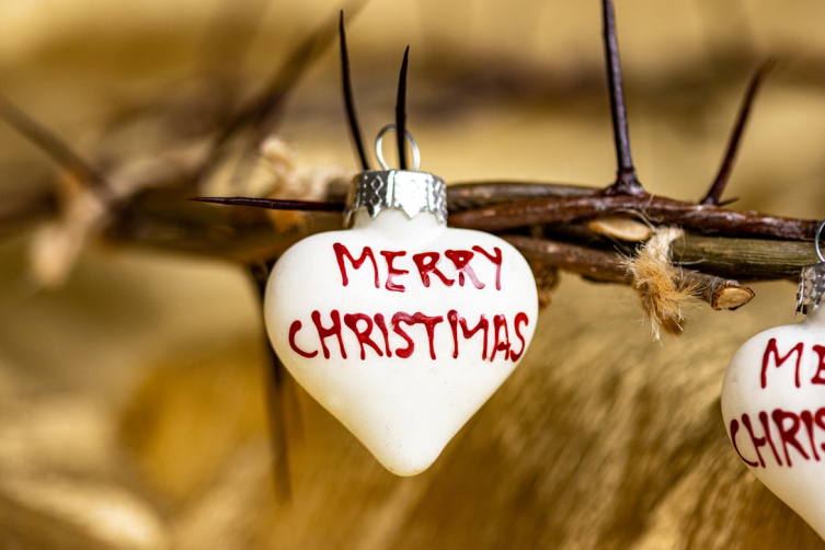 photo 1717868268932 7e2f114609f6