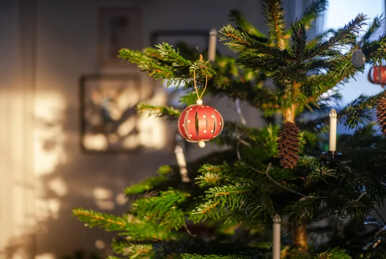 New Year Wishes for Everyone: Family, Friends, Colleagues & Clients