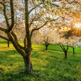 Почему 1 мая — официальный выходной во многих странах