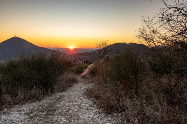 The inspiring journey of personal growth and transformation