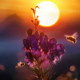Heartfelt messages for new beginnings